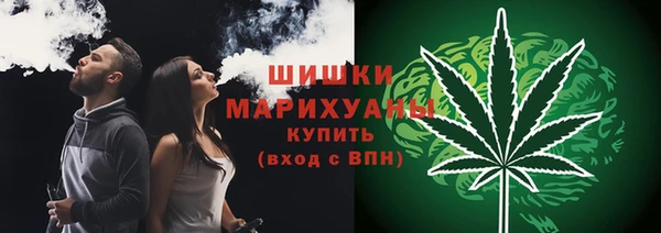 ALPHA PVP Куйбышев