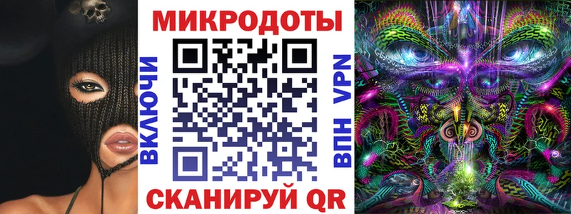 закладка Великий Новгород кракен рабочий сайт Псилоцибиновые грибы Psilocybine cubensis