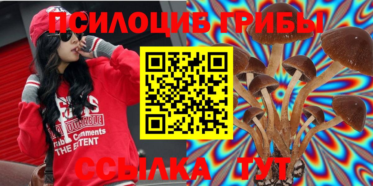 Галлюциногенные грибы ЛСД Великий Новгород