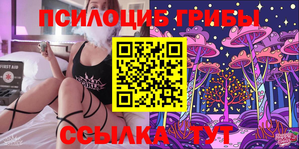 Псилоцибиновые грибы GOLDEN TEACHER Великий Новгород
