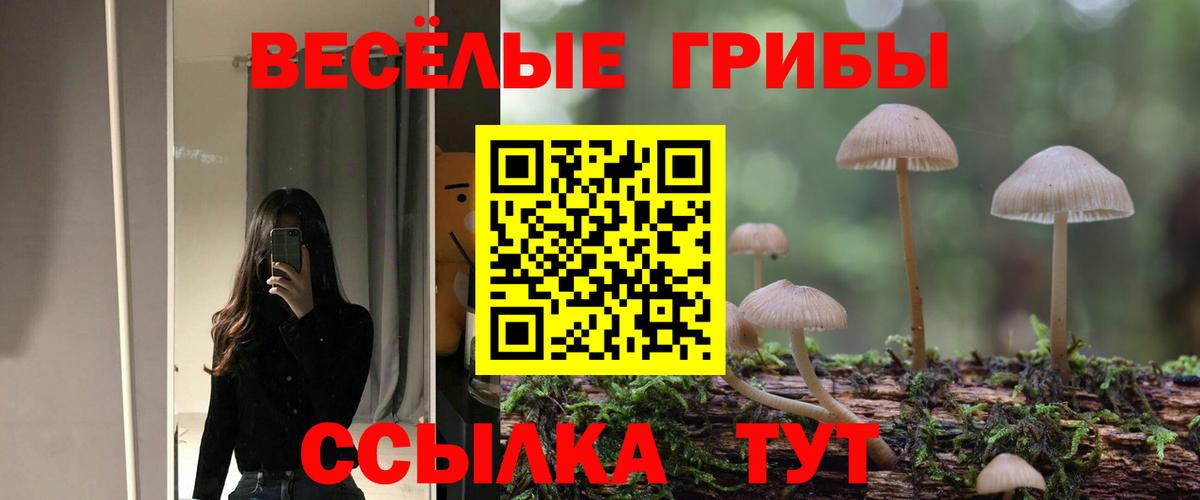 Великий Новгород  Псилоцибиновые грибы прущие грибы  Галлюциногенные грибы мицелий  Вход с VPN 