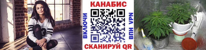 Шишки марихуана марихуана Великий Новгород