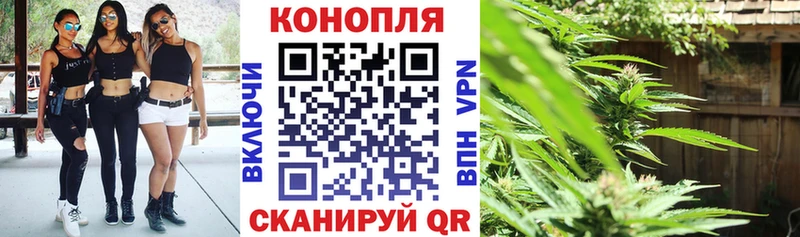 магазин продажи   Великий Новгород  Бошки марихуана марихуана 